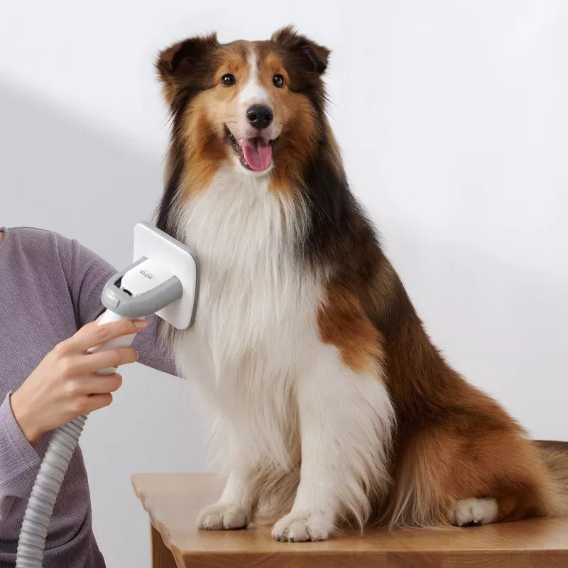Odkurzacz | DREAME | Mova G1 Pro Pet Grooming Kit | Pojemność na kurz 1 L | Rodzaj czyszczenia Na sucho | Kolor Biały | PHC10A