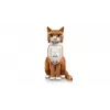 LEGO IDEAS 21376 pomarańczowy Cat
