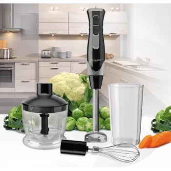 Blender ręczny Maestro MR-566, 500 W, 2 prędkości, turbo, trzepaczka, rozdrabniacz 600 ml, pojemnik do przechowywania 900 ml, stal nierdzewna