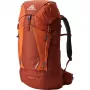 Gregory Wander 30 Backpack - czerwony, 30 L
