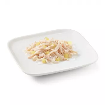 SCHESIR Kurczak z ananasem w galaretce - mokra karma dla psów - 150g