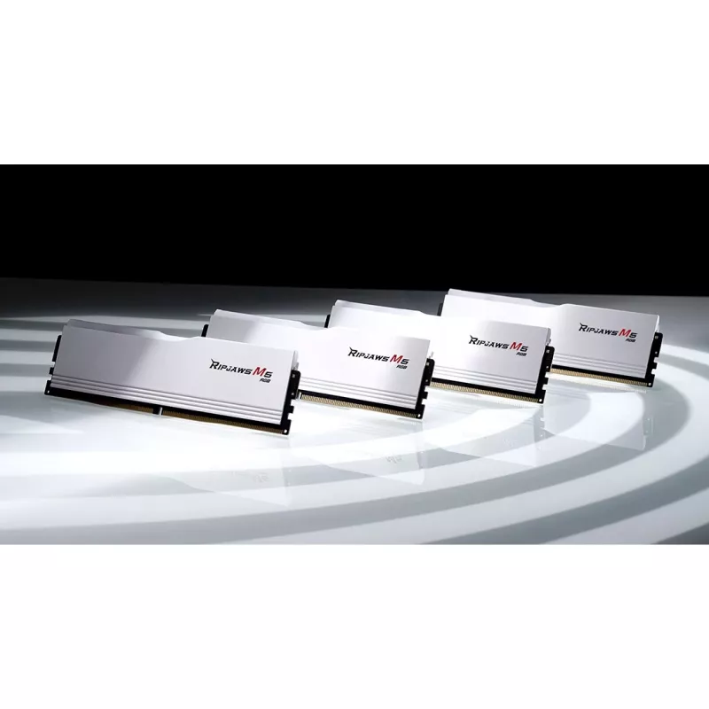 DIMM 48 GB DDR5-5200 (2x 24 GB) Dual-Kit, pamięć biała, F5-5200J4040A24GX2-RM5RW, Ripjaws M5, INTEL XMP