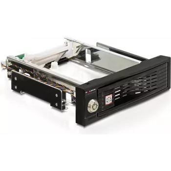 DeLOCK - mobilny Memory-Rack - 8,9 cm (3.5) (47191)