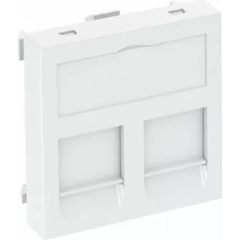 OBO Bettermann Data Technology Carrier DTG-2CRW Type C (6119214)