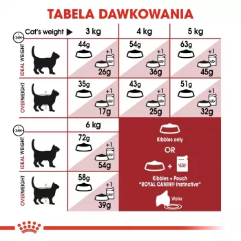 Royal Canin Feline Fit 2kg sucha karma dla kotów Adult