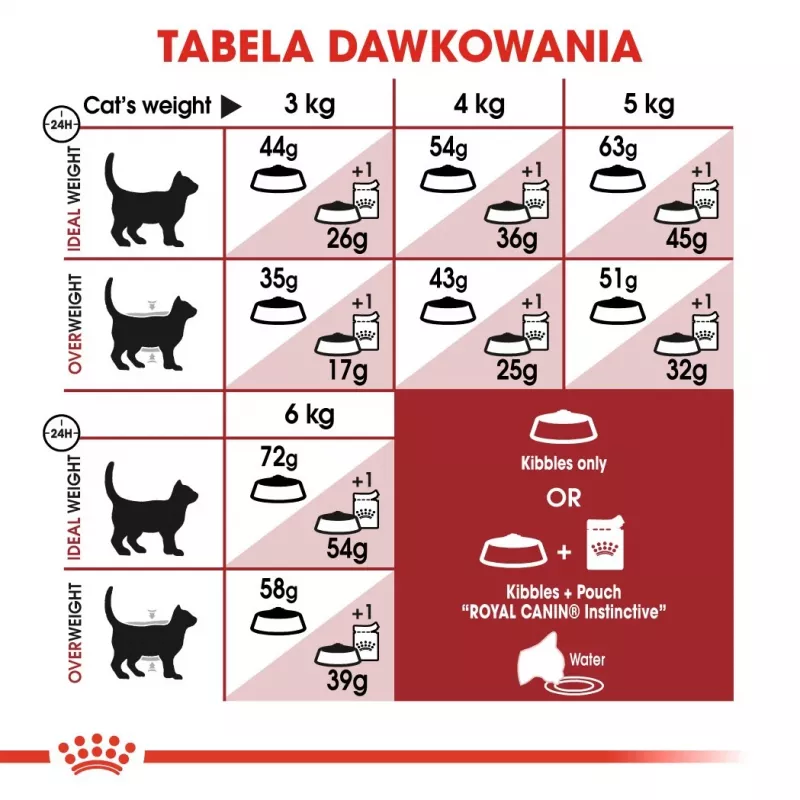 Royal Canin Feline Fit 2kg sucha karma dla kotów Adult