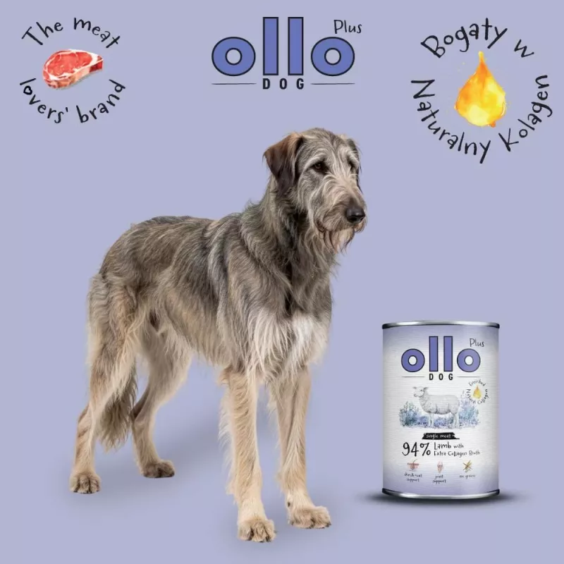 Ollo Plus Kolagen Jagnięcina 400g puszka dla psa