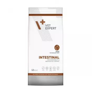 VET EXPERT Veterinary Diet Intestinal Dog - sucha karma dla psa - 12 kg