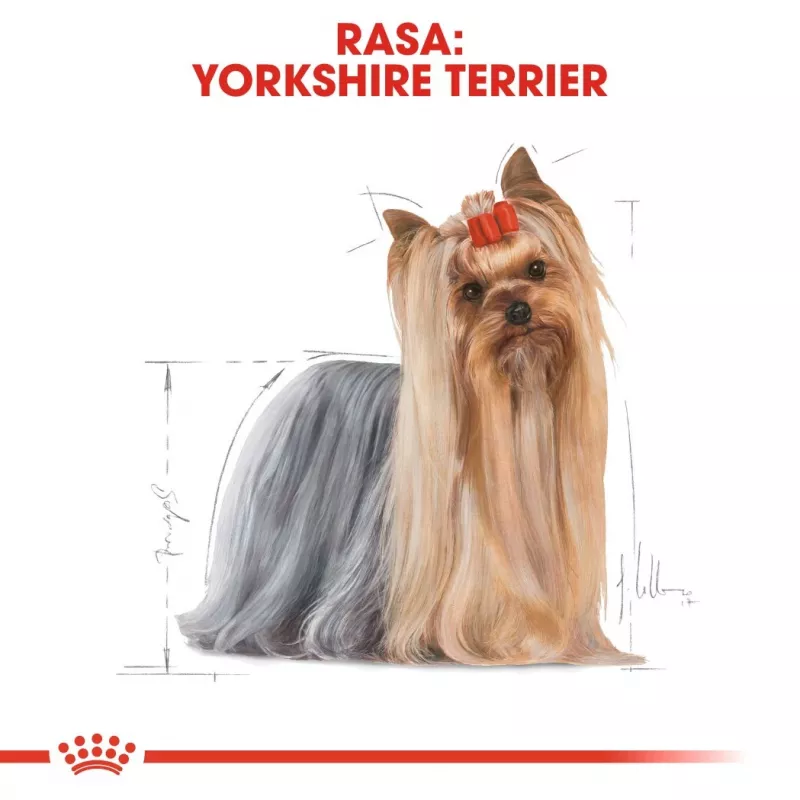 Royal Canin Yorkshire Terrier Adult 85 g