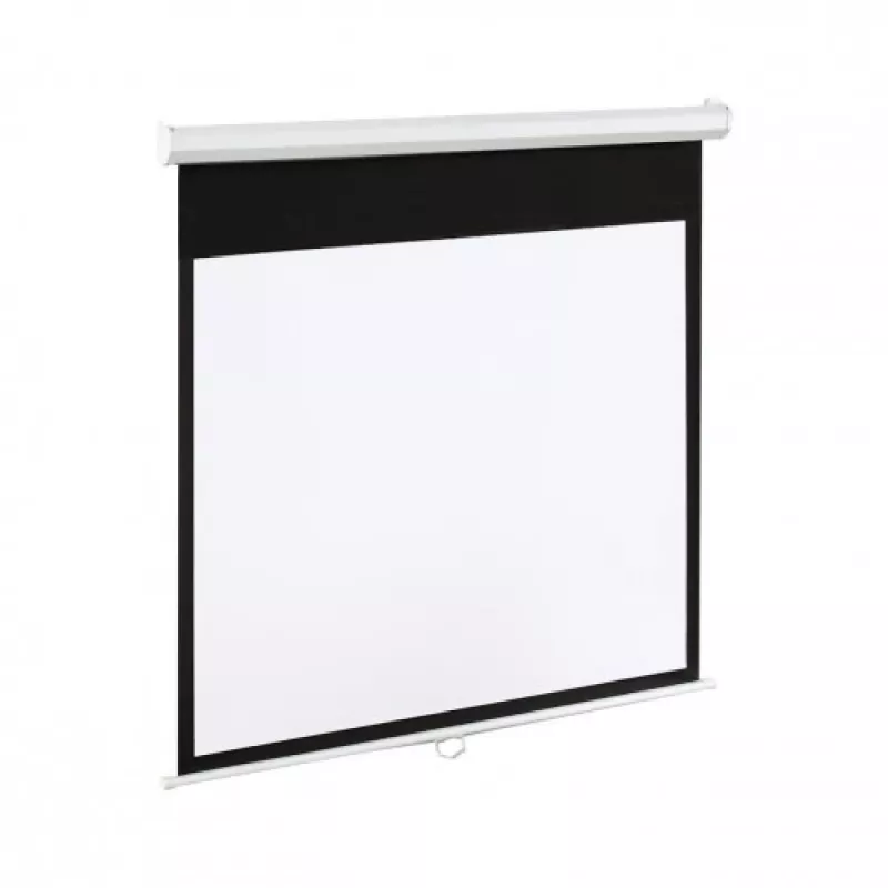 Art EL E100 Display 16:9 Elektryczny EM (100, 16:9), Ekran projekcyjny, Biały
