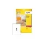 Avery Clear Address Label Laser L7565 Transparent 99.1x67.7mm 25 arkuszy