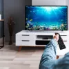 Cyfrowy tuner telewizyjny MANTA DVBT005-SH DVB-T/T2 obsługa HEVC