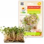 Nasiona Rzodkiewki China Rose do Kiełkowania, Opakowanie 20g