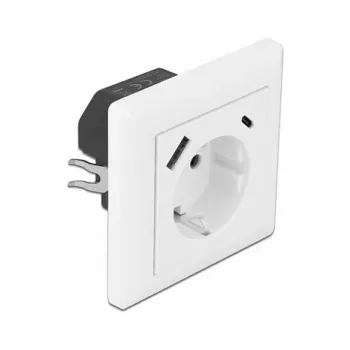 DeLOCK 11489 Gniazdo sieciowe CEE 7/3 + USB biały 250V 16A