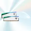 DIMM 48 GB DDR5-6000 (2x 24 GB) Dual-Kit, Pamięć Biała, PVER548G60C42KW, Viper Elite 5 RGB, INTEL XMP, AMD EXPO