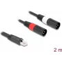 Kabel audio DeLOCK 88173 2 m RJ-45 2 x XLR 3-pin czarny