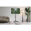 Gembird stojak podłogowy pod telewizor na kółkach (pochylany) do 32–55 cali, VESA 100x100–400x400, maks. obciążenie 30 kg, czarny