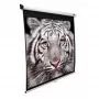 Elite Screens | M139NWX | Diagonal 353 inch | 16:10 | Viewable screen width (W) 2.98 cm | biały