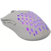 Baracuda BGM-022 OCTOPUS Biała