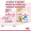 Sucha karma dla kota Royal Canin Kitten 2 kg — formuła z drobiem (kurczakiem), białko 36%, tłuszcz 18%