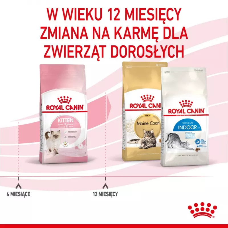 Sucha karma dla kota Royal Canin Kitten 2 kg — formuła z drobiem (kurczakiem), białko 36%, tłuszcz 18%