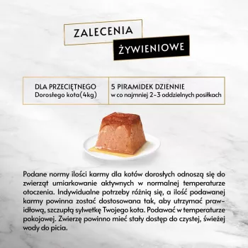 Mokra karma dla kota Purina Gourmet Revelations Łosoś saszetka 2 x 57 g, dorosłe koty, 81% wilgotność