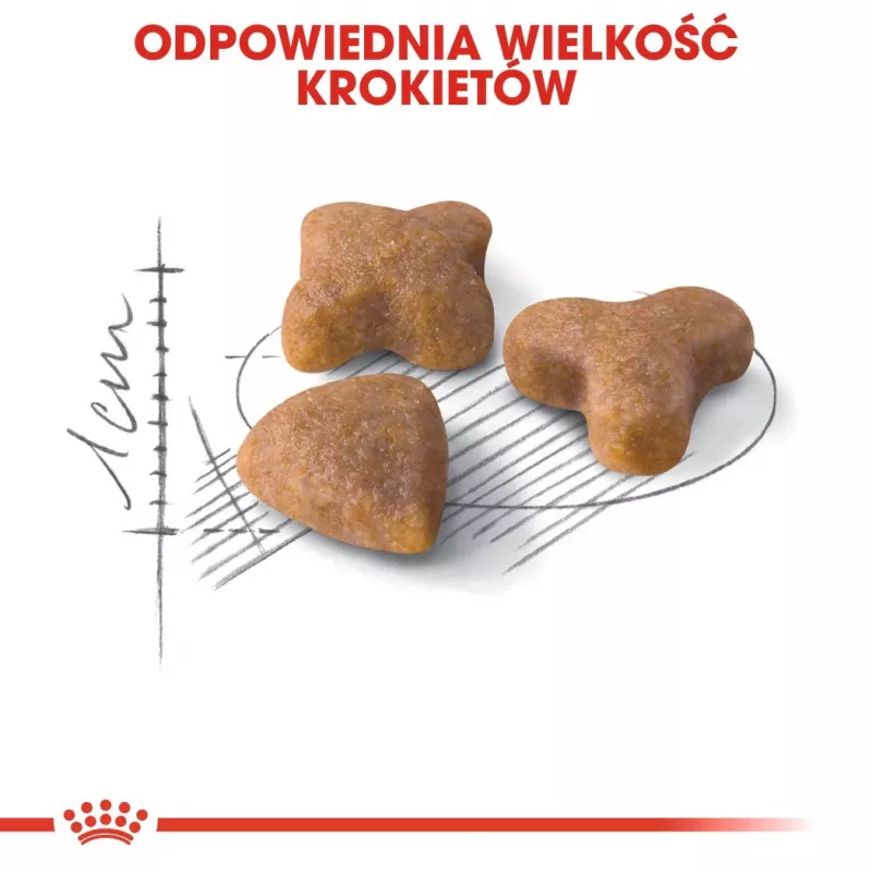 Sucha karma dla kota Royal Canin Sensible 33 Adult, 10 kg — kurczak, 33% białka, kontrola dróg moczowych