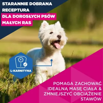 Sucha karma dla psa EUKANUBA Mature Small Chicken 3 kg — dla dorosłych psów małych ras