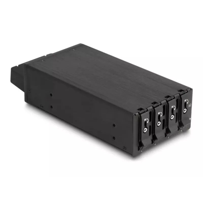 Klatka HDD DeLOCK 47126 Kompatybilna z Rackiem Metalowa Szerokość 72 mm