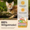 Przysmaki dla kota INABA Churu Variety Box — Pasta z kurczaka, 40 × 14 g, bez zbóż, glutenu i soi