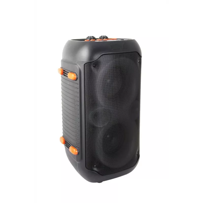 Głośnik Esperanza EP156 BT FM LED RGB KARAOKE Czarny 20W