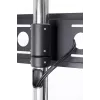 Podstawa STD01 do ekranu 32-55'' VESA 75x75/600-400'' 80 kg
