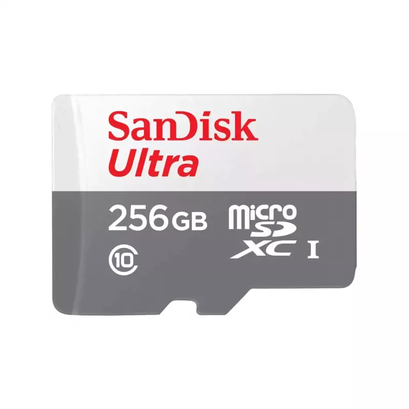 Karta pamięci MICRO SDXC 256GB UHS-I/SDSQUNR-256G-GN3MN SANDISK