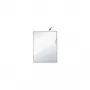 Rexel Standard L Folder A4 Clear (50), Transparent, 228 mm, 313 mm, 20 mm
