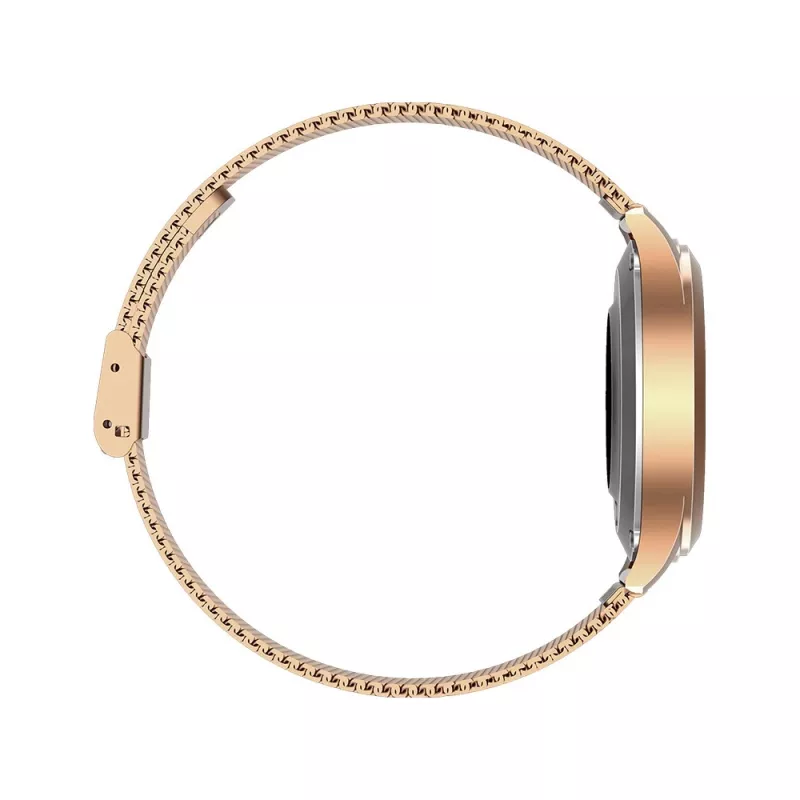 Smartwatch MaxCom FW42 GOLD Gold