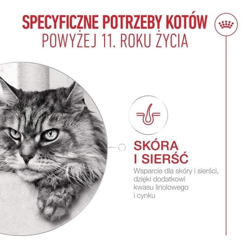 Sucha karma dla kota Royal Canin FHN Ageing 11+ 2 kg — drób, 30% białka, wsparcie stawów i nerek