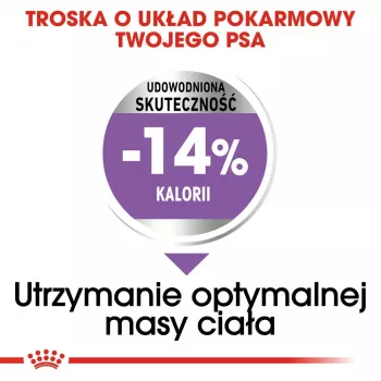Sucha karma dla psa Royal Canin Mini Sterilised Care — 3 kg, kurczak, dla sterylizowanych małych ras (5–10 kg), dorosłe psy, 30% białka