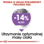 Sucha karma dla psa Royal Canin Mini Sterilised Care — 3 kg, kurczak, dla sterylizowanych małych ras (5–10 kg), dorosłe psy, 30% białka