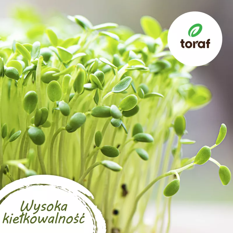 Toraf Flavor Symphony Seed Set - 12 Packages