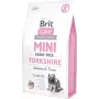 Sucha karma dla psa Brit Care Mini Grain Free Yorkshire 2 kg — Łosoś i tuńczyk, 30% białka, 19% tłuszczu, bezglutenowa i bez laktozy