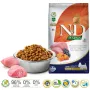 FARMINA N&D Pumpkin Lamb&Blueberry Mini Adult - sucha karma dla psa - 7 kg