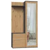 Szafka przedpokojowa Top e shop GARD DUO ANT/ART KPL — 2 drzwi uchylne, płyta wiórowa, 1000×350×1800 mm