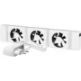 SpeedComfort Mono set biały Fan
