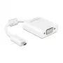 Adapter graficzny USB DeLOCK 65557 1920 x 1080 pikseli biały