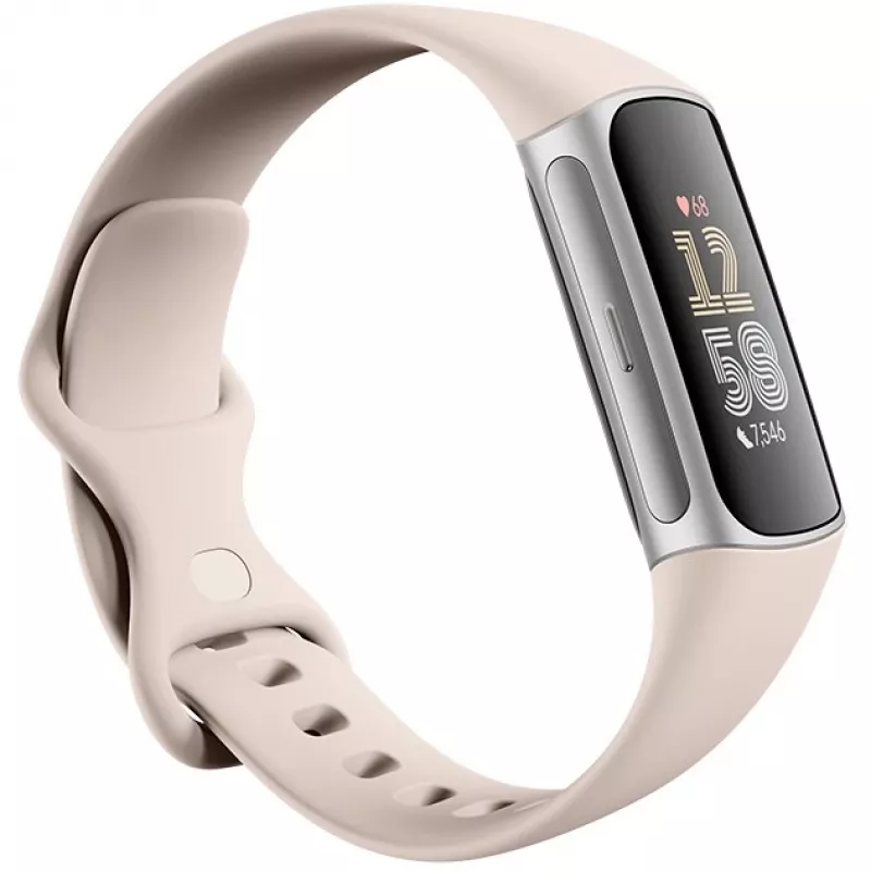 Fitbit GA05185-EU Produkt Srebrny
