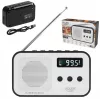 Przenośne radio cyfrowe Adler AD 1907 — AM/FM, tuner cyfrowy, alarm, USB-C, bateria 600 mAh, LCD, 20 ustawień, antena teleskopowa