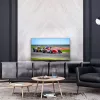 TV Thomson 43QG7C14 43 cale 4K Ultra HD QLED 3840 x 2160