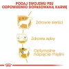 Sucha karma dla psa Royal Canin Poodle Adult 1,5 kg — kurczak, 30% białka, 19% tłuszczu