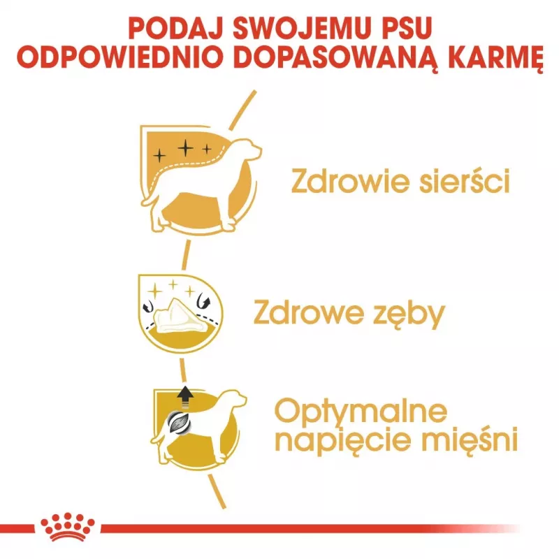 Sucha karma dla psa Royal Canin Poodle Adult 1,5 kg — kurczak, 30% białka, 19% tłuszczu