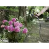 Wąż ogrodowy Karcher Premium 5/8- 25M